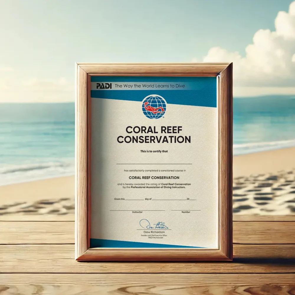 珊瑚礁保育課程