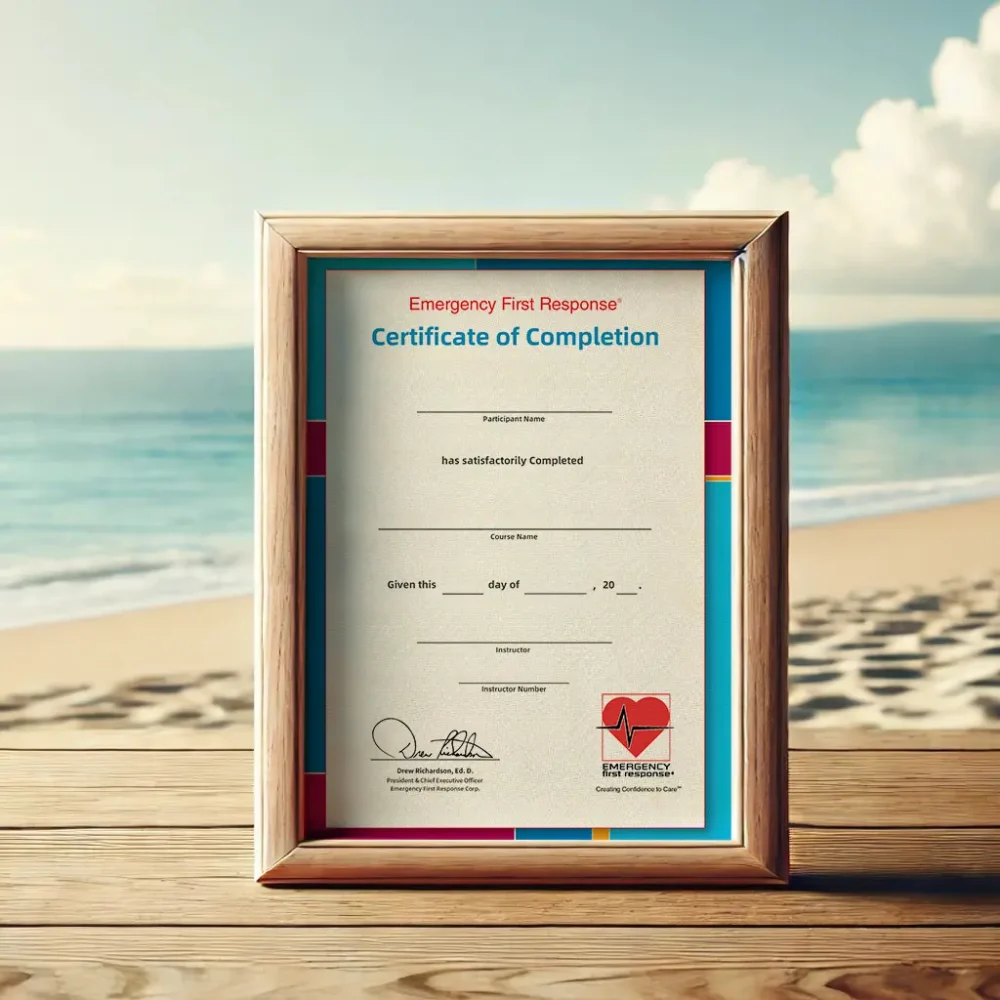 EFR 緊急第一反應首要和次要救護