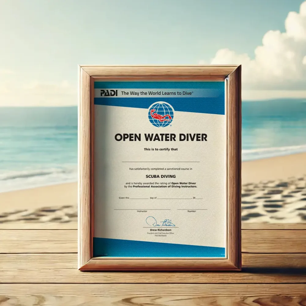 初階開放水域潛水員課程-個人班